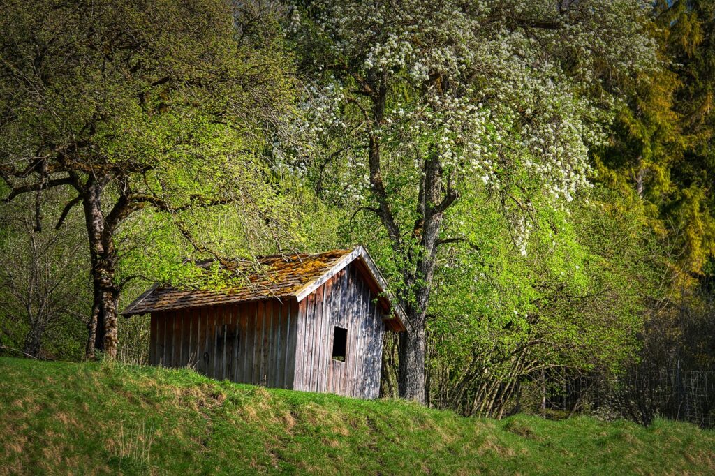Schuppen aus Holz