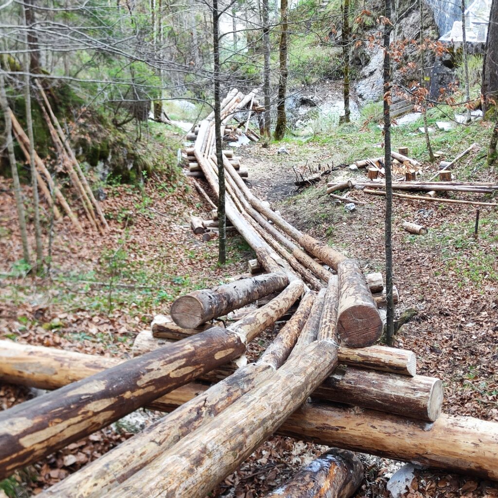 Holzriese