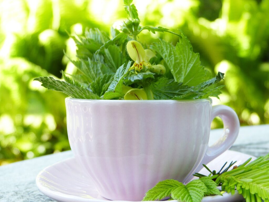 Tasse mit Kräutern (c) siviarita
