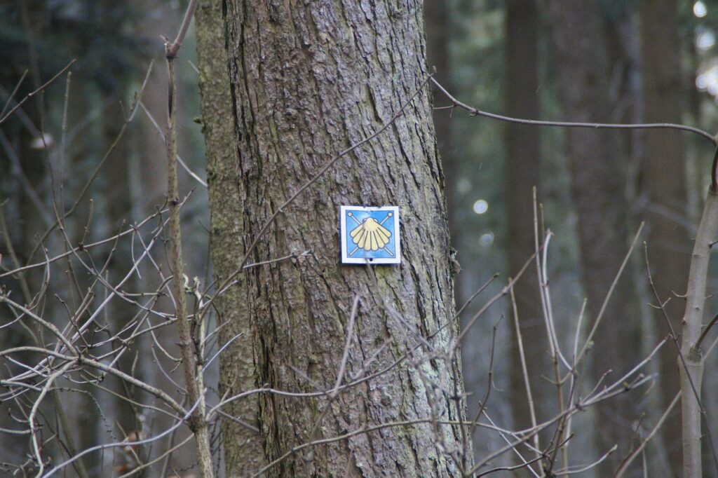 Jakobsweg mit Kennzeichen am Baum (c) Efraimstochter