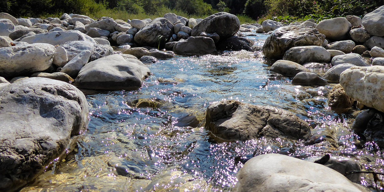 nature-4918175_1280
