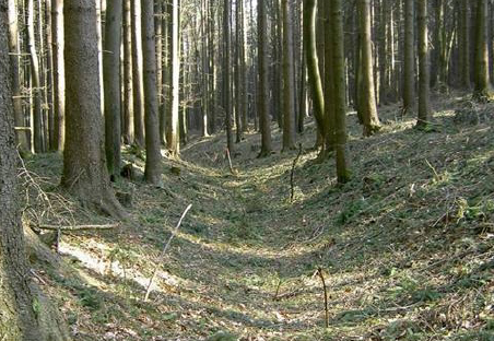 Handbuch_Dammartige Altstraße