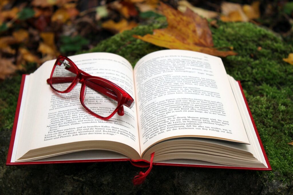 Buch im Wald