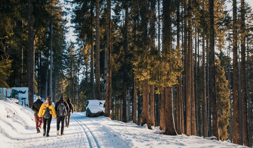 Menschen im Schnee im Wald