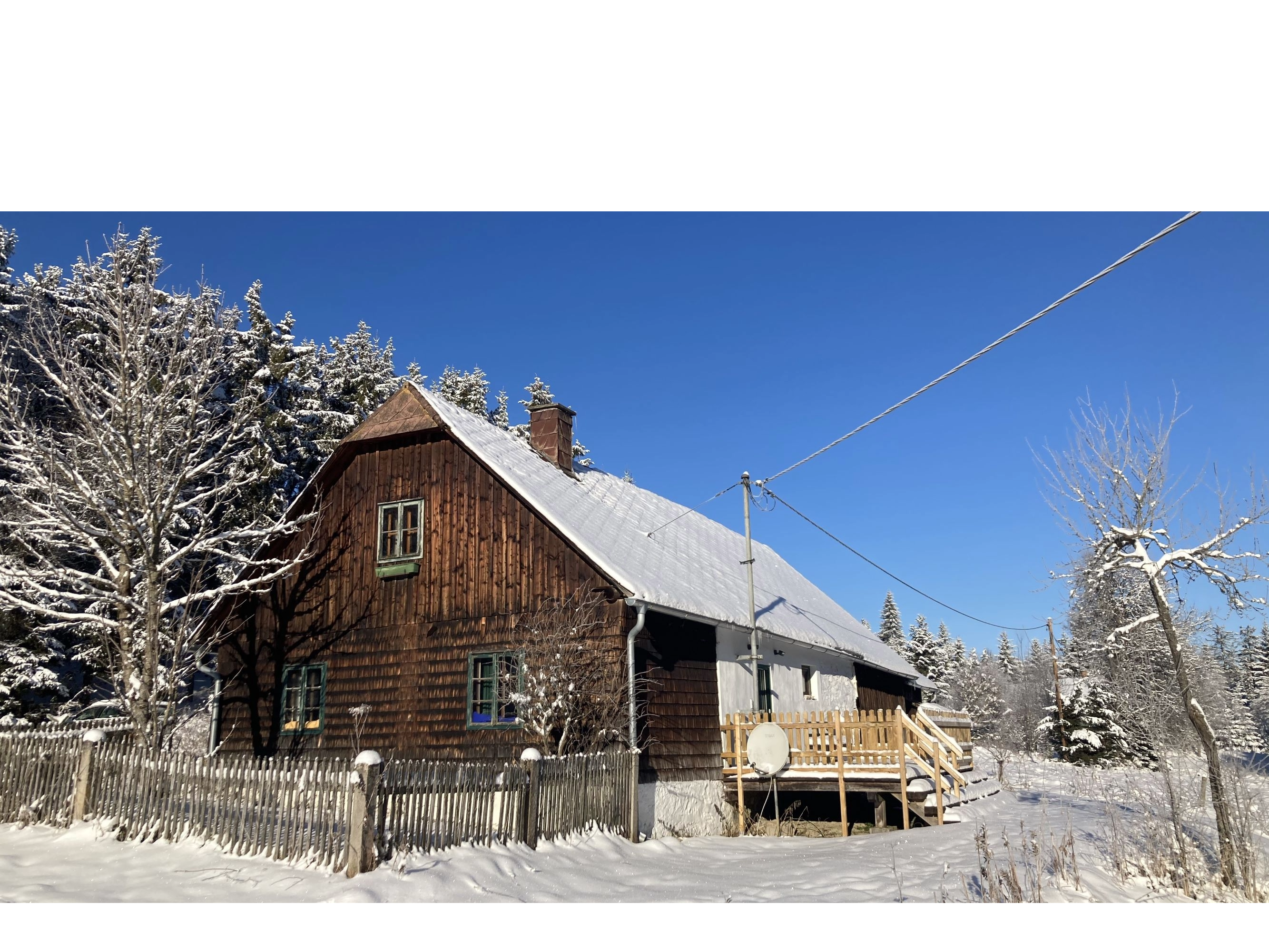 Ferienhaus Juster im Wald_ Foto 2 c Juster V2