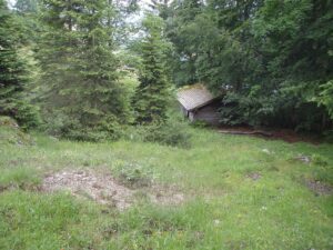 einen der zahlreichen Schmelzplätze des prähistorische Kupfererzbergbaus in Mühbach am Hochkönig. (Foto und Quelle: Benutzerin:Wald1siedel 2010)