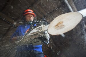 LFS_Zwettl_Edelhof_ Foto 1