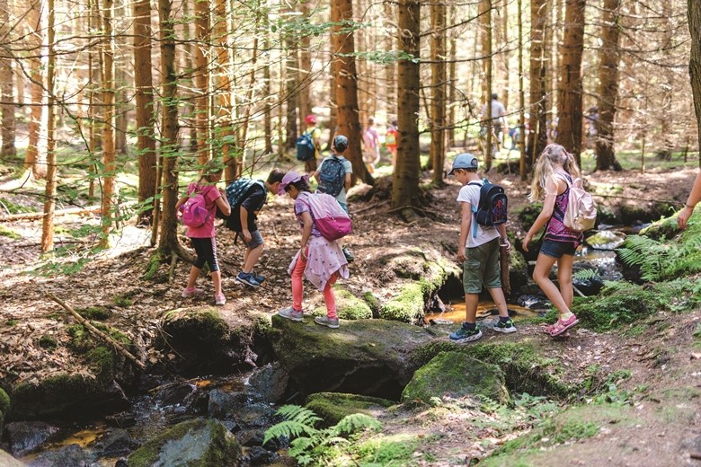Wunderwelt Wald, (C) Fotograf Benjamin Wald Wanderung