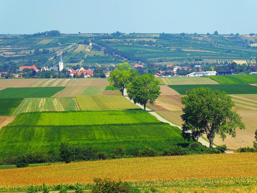 Weinviertel